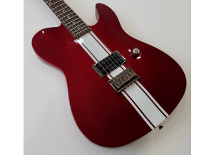 Fender Special Edition Esquire Custom GT (56265)