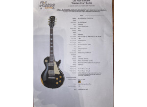 Gibson Les Paul Standard "Painted-Over"