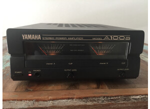 Yamaha A100 (43911)