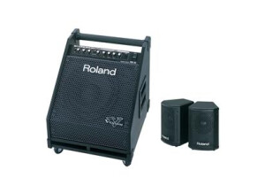 Roland PM-30 (73084)