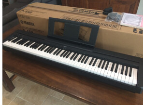 Yamaha P-45 (69401)