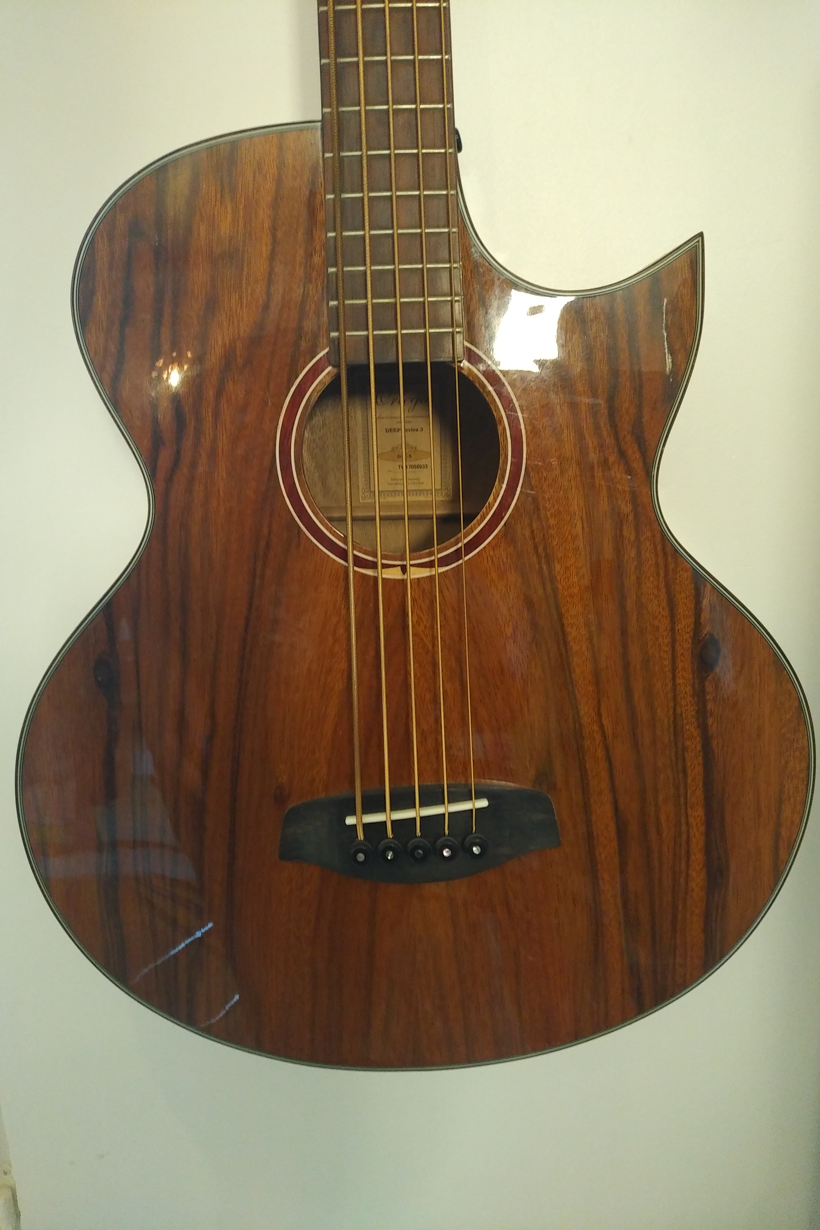 Ortega KTSM-5FL Ken Taylor