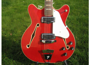 Fender Coronado XII (crosse hockey)