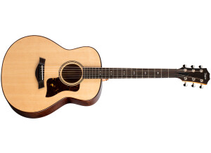 Taylor-GT-Urban-Ash-frl-2020