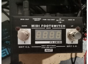 Amt Electronics FS-2 Midi Footswitch (10977)