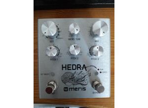 Meris Hedra (86211)