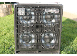 swr-golight-4x10-889753
