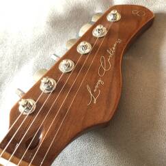 Sire Larry Carlton S7 FM