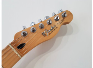 Fender Standard Telecaster [1990-2005] (22201)