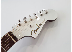 Fender Malibu Player (72228)
