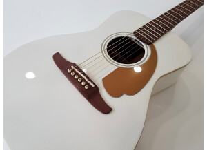 Fender Malibu Player (53851)