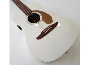 Fender Malibu Player (50059)