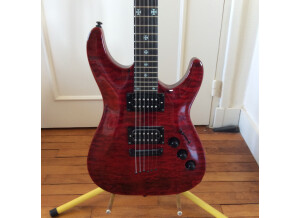SR Guitars SRSS Master I (69442)