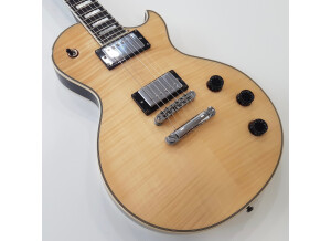 Schecter Solo-II Custom (48137)