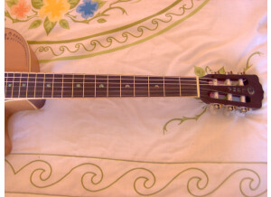 Luna Guitars Henna Oasis Spruce (87002)