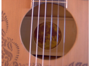 Luna Guitars Henna Oasis Spruce (26862)