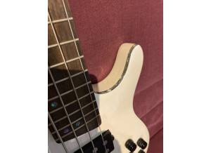 95B1CE53-CD0E-423E-806A-B03EB5EC845D