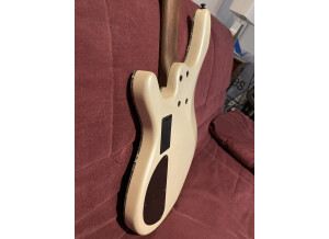 9203DF19-69B4-49C2-9106-47B73636CC80