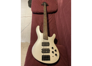 99DEA81F-05EF-447B-A11E-2201AB164F61