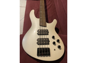 A6E6B3FB-5B9F-425C-A4B1-30CAABB946C2