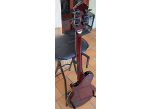 Michael Kelly Guitars Patriot Premium (74413)