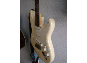 Fender Classic '70s Stratocaster (33871)