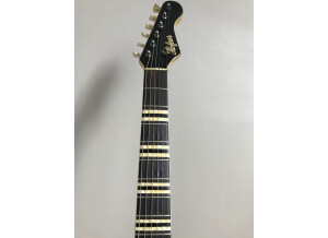 Hofner Guitars Galaxie 176