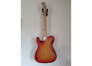 Warmoth Stratocaster (33623)