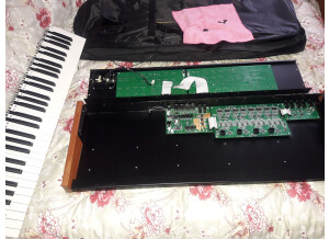 Dave Smith Instruments Prophet 08 Pot Edition (4071)