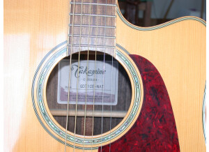 Takamine GD71CE (47794)