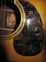 Takamine LTD2010 Kimono