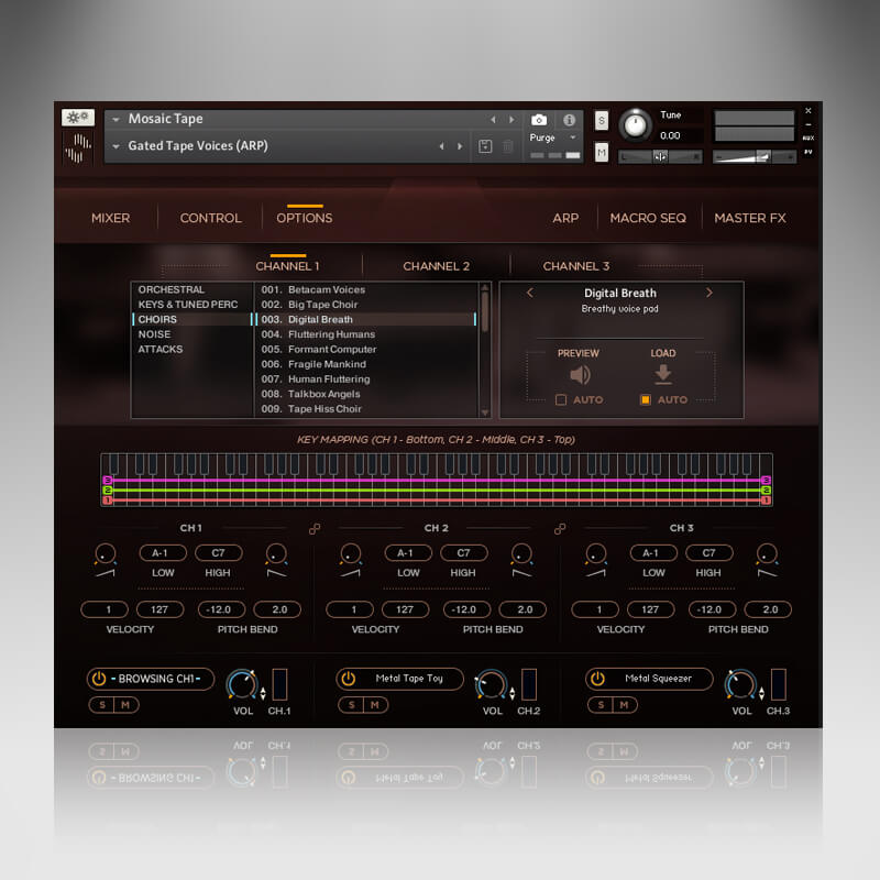 Mosaic-Tape_Interface_Source