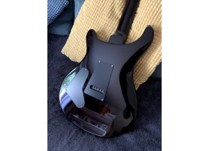 PRS 35th Anniversary SE Custom 24 (771)