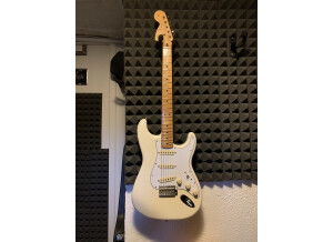 Fender Custom Shop MasterBuilt '60 Relic Stratocaster (by Dale Wilson) (17403)