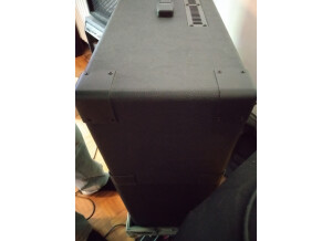 Fryette Amplification Sig:X (41246)