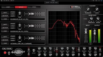 Cali Dual Process Cali Dual Process