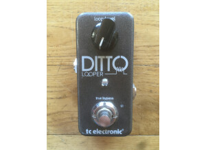 TC Electronic Ditto Looper (21340)