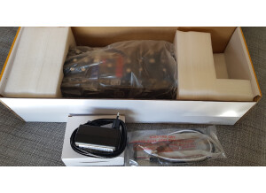 Behringer Model D (54759)