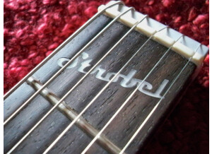 Strobel Guitars Strobelcaster