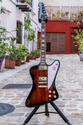 epiphonefirebird epiphonefirebird