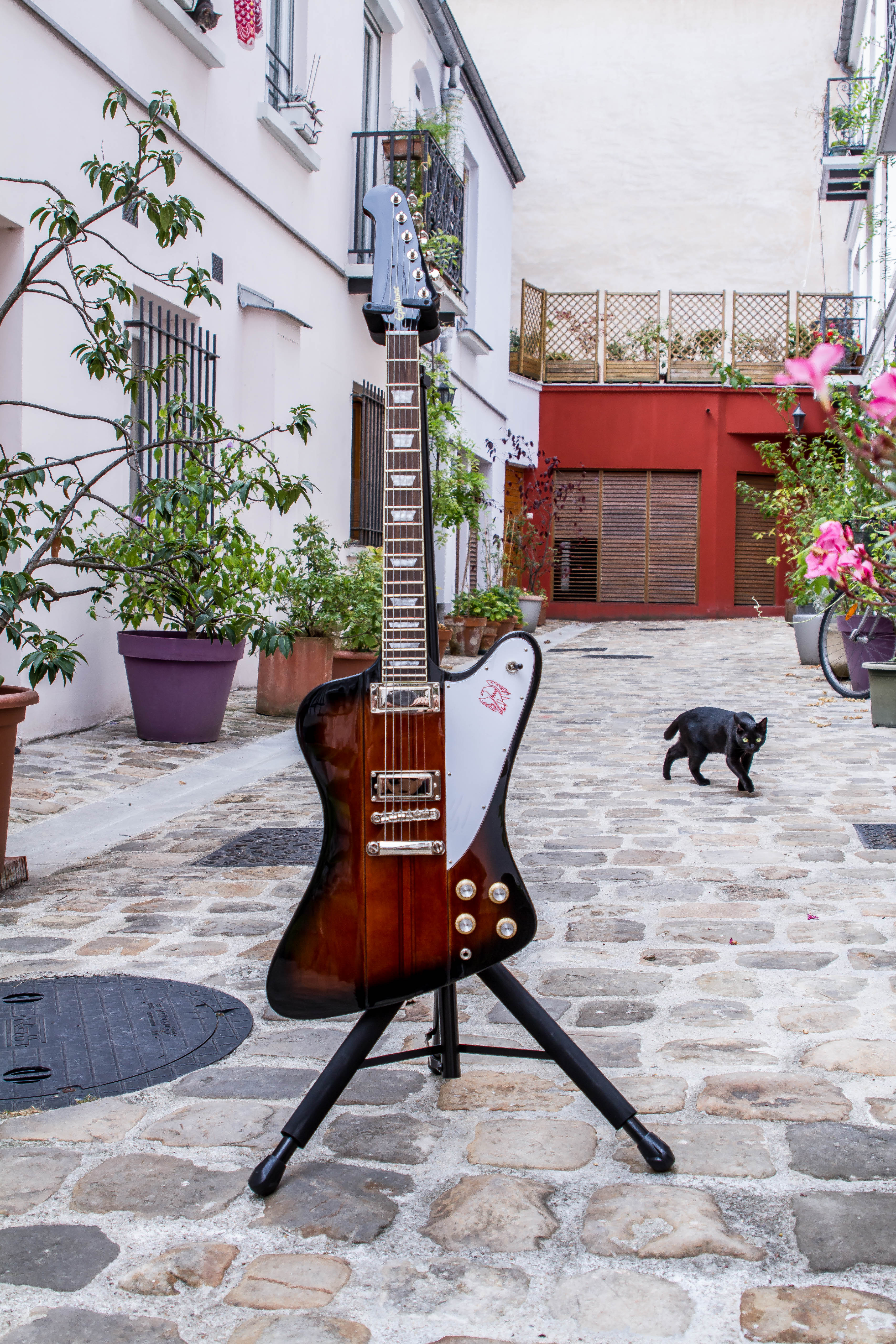 epiphonefirebird-14