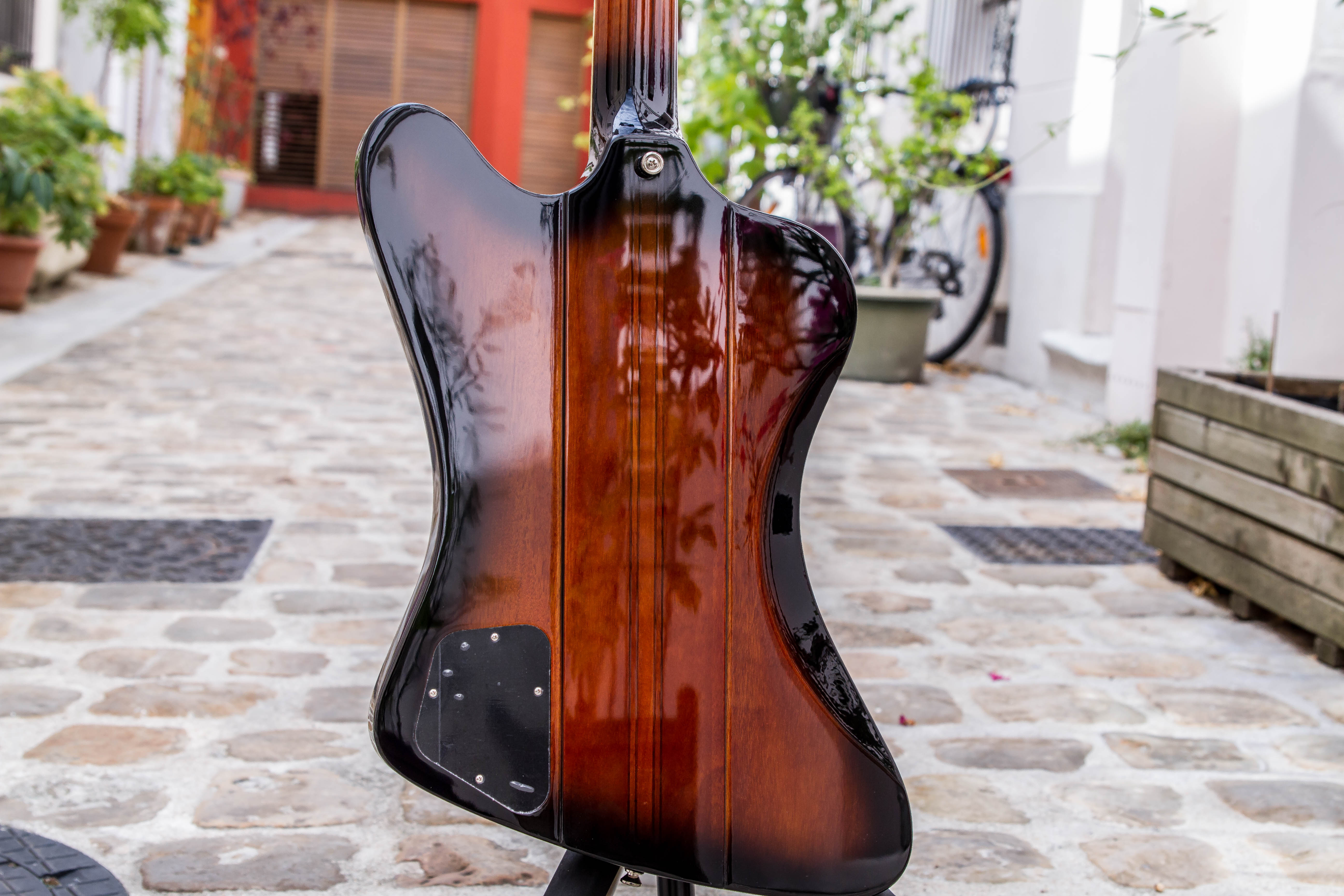 epiphonefirebird-9