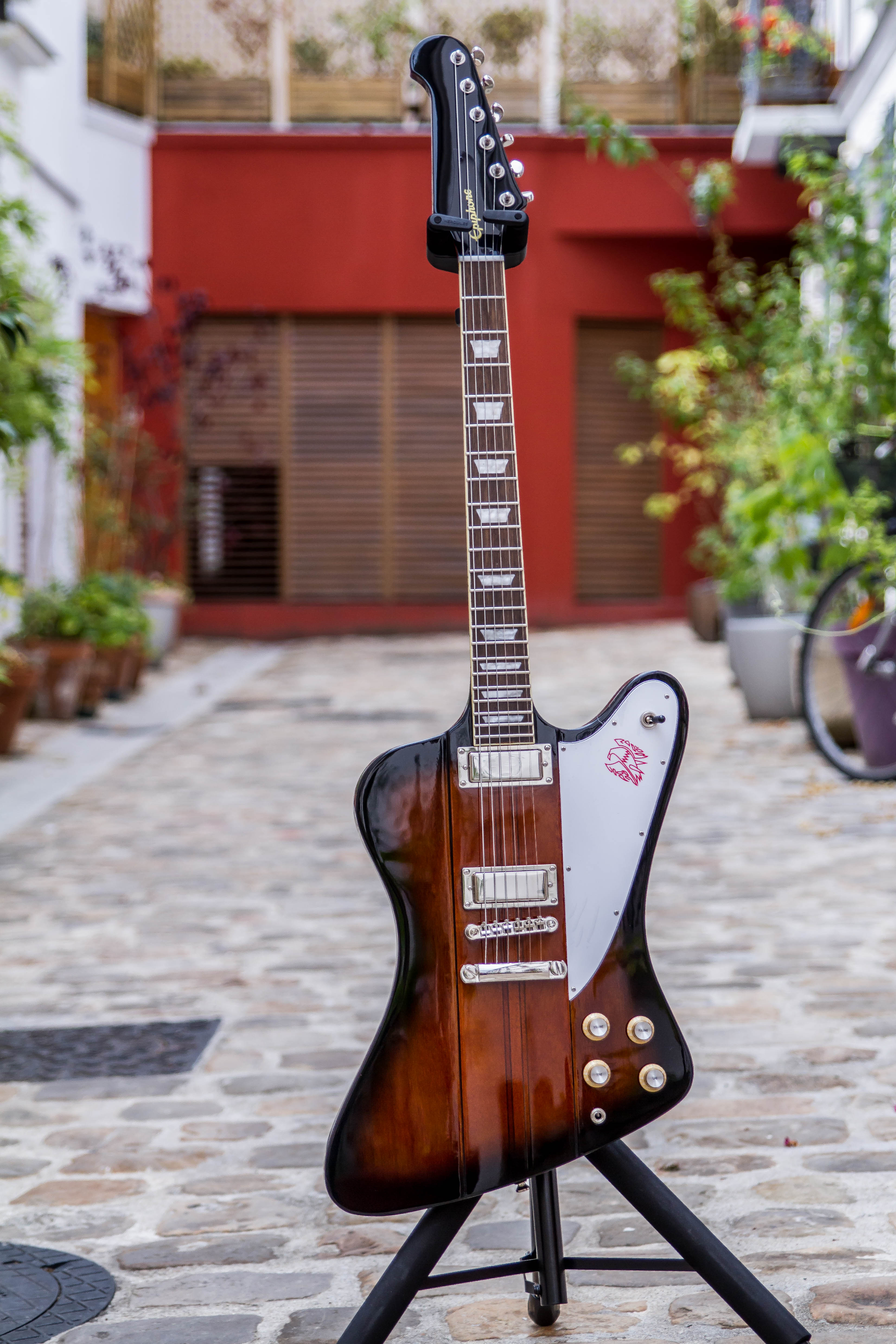 epiphonefirebird-7