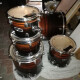 Zebra Wood PRO M Zebra Wood PRO M