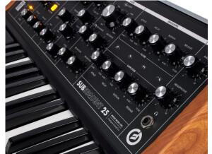 Moog Music Subsequent 25 (43123)