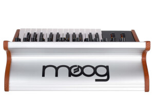 Moog Music Subsequent 25 (77603)