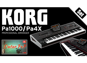 set korg pa1000