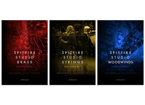 Spitfire Audio Studio Woodwinds Professional