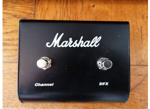 Marshall MG100DFX (929)