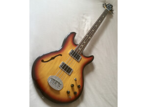 Lakland Skyline Hollowbody (94685)